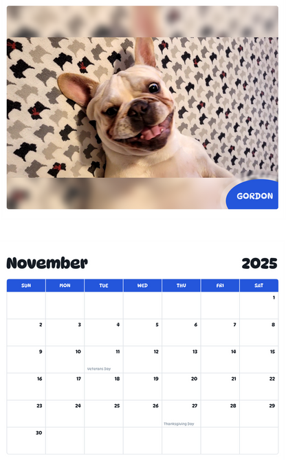July 2025 - June 2026 Gordon - Pawidols Pet Calendar