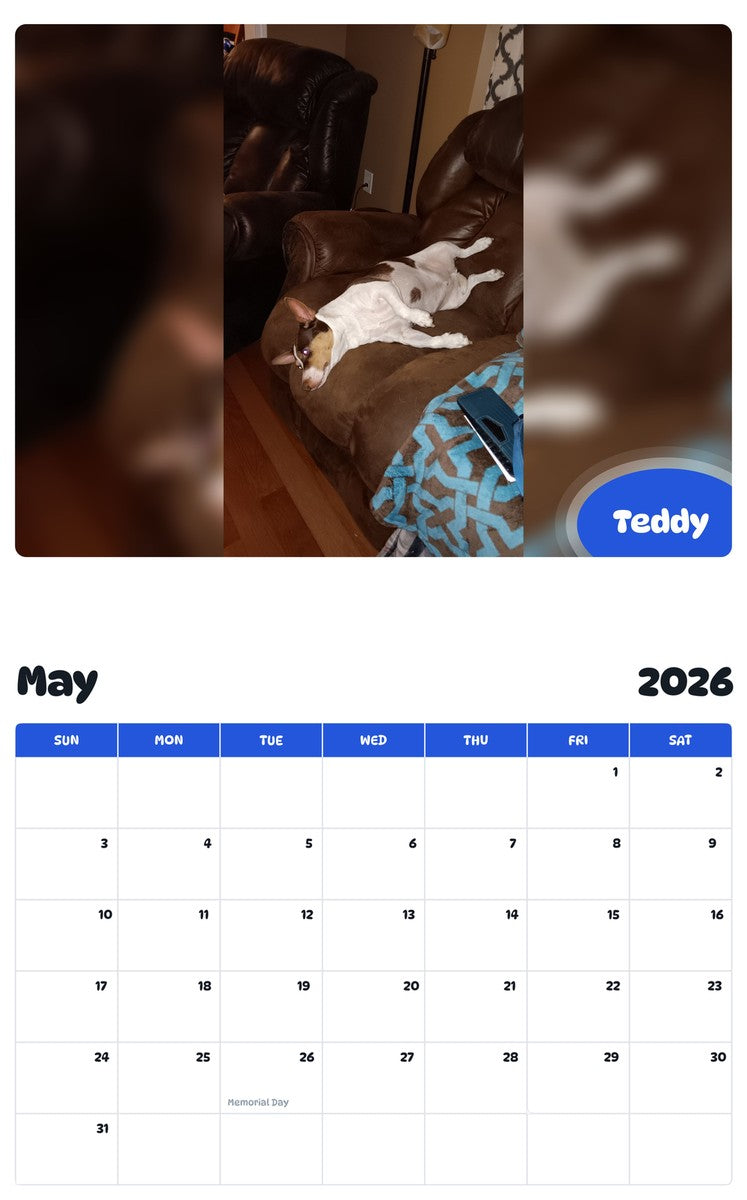 2026 - 2027 Teddy - Pawidols Pet Calendar