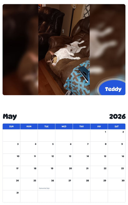 2026 - 2027 Teddy - Pawidols Pet Calendar