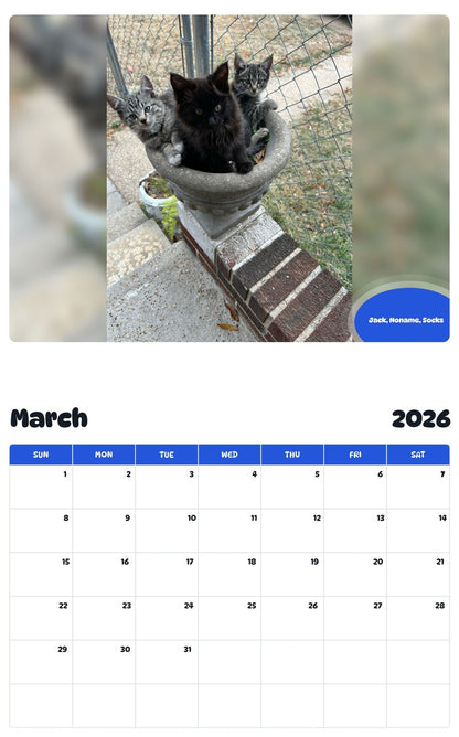 November 2025 - October 2026 Jack, Noname, Socks - Pawidols Pet Calendar