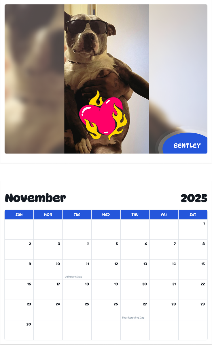 July 2025 - June 2026 Bentley - Pawidols Pet Calendar