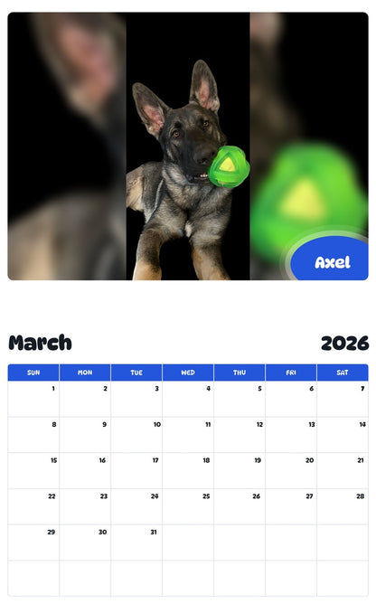 November 2025 - October 2026 Axel - Pawidols Pet Calendar