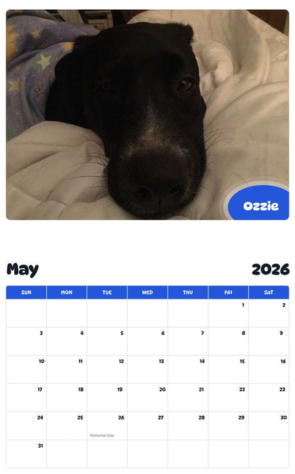 2026 - 2027 Ozzie - Pawidols Pet Calendar