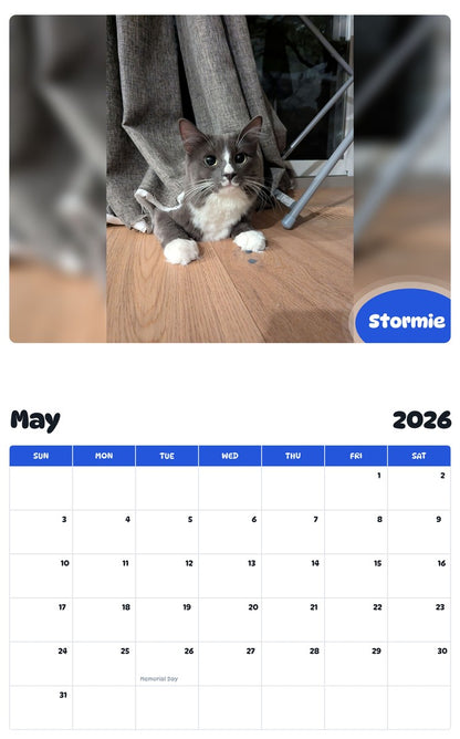 2026 - 2027 Stormie - Pawidols Pet Calendar