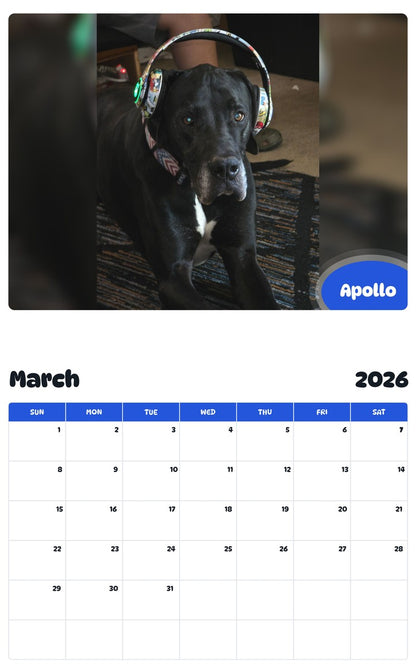 November 2025 - October 2026 Apollo - Pawidols Pet Calendar