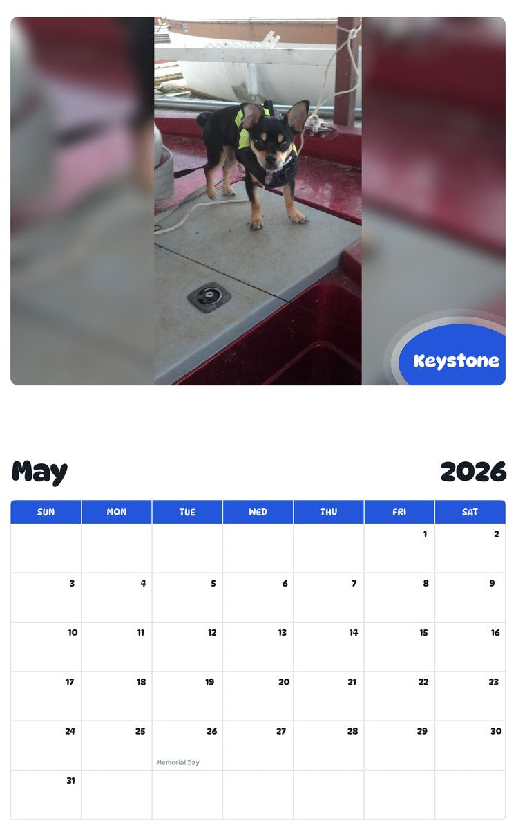 2026 - 2027 Keystone - Pawidols Pet Calendar