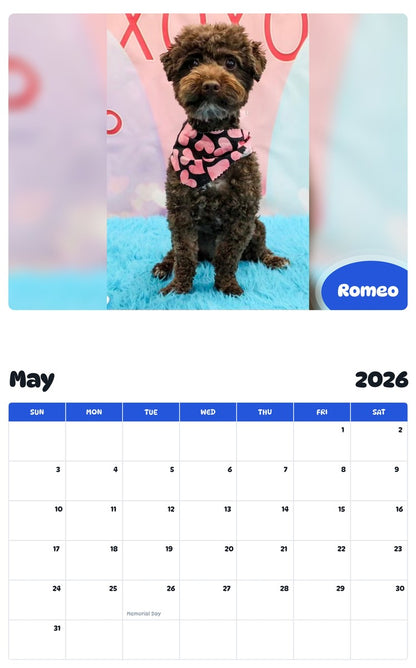 2026 - 2027 Romeo - Pawidols Pet Calendar