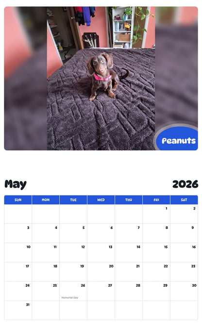 2026 - 2027 Peanuts - Pawidols Pet Calendar