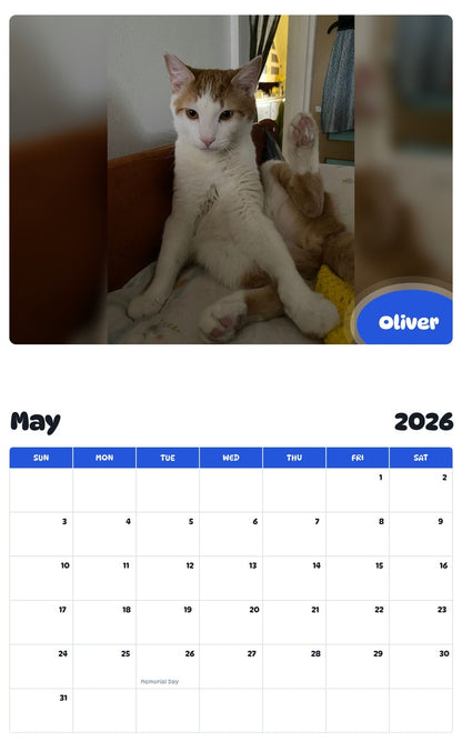 2026 - 2027 Oliver - Pawidols Pet Calendar