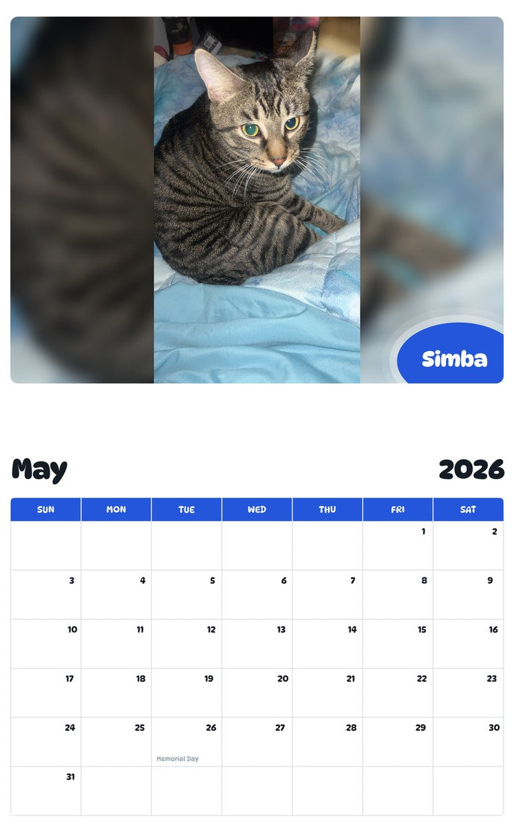 2026 - 2027 Simba - Pawidols Pet Calendar