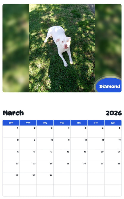 November 2025 - October 2026 Diamond - Pawidols Pet Calendar