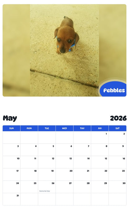 2026 - 2027 Pebbles - Pawidols Pet Calendar