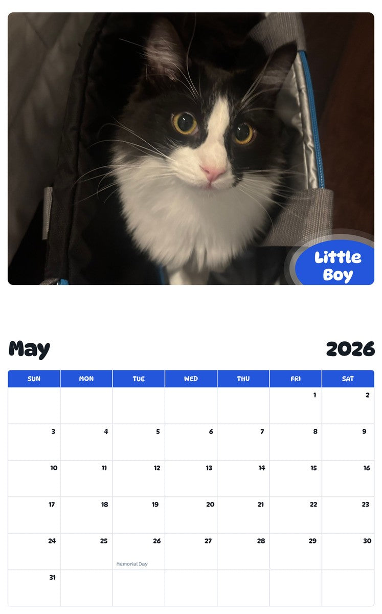 2026 - 2027 Little Boy - Pawidols Pet Calendar