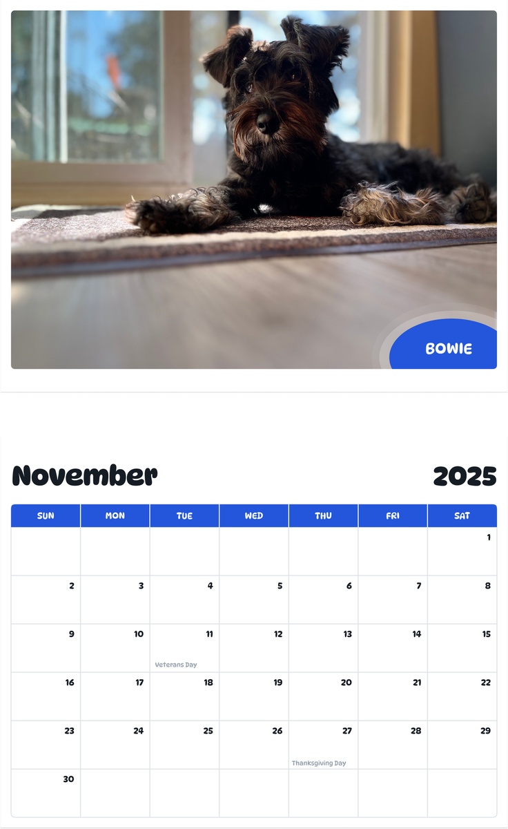 July 2025 - June 2026 Bowie - Pawidols Pet Calendar
