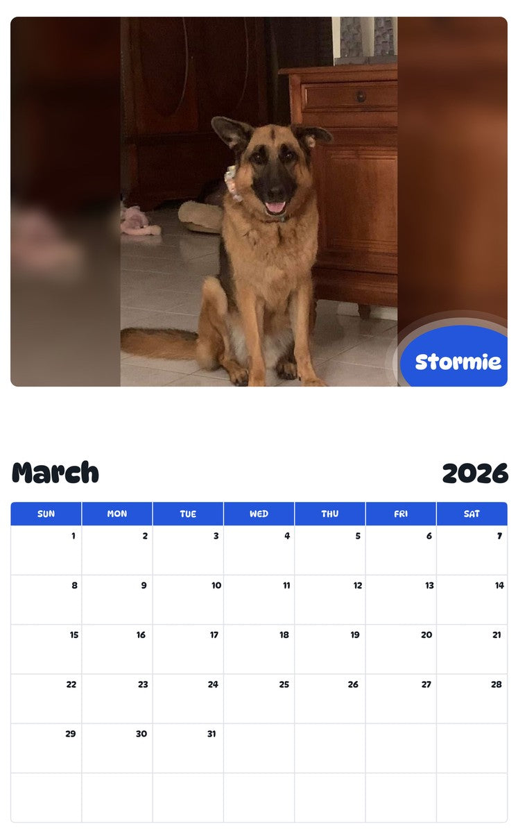 November 2025 - October 2026 Stormie - Pawidols Pet Calendar