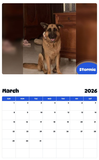 November 2025 - October 2026 Stormie - Pawidols Pet Calendar