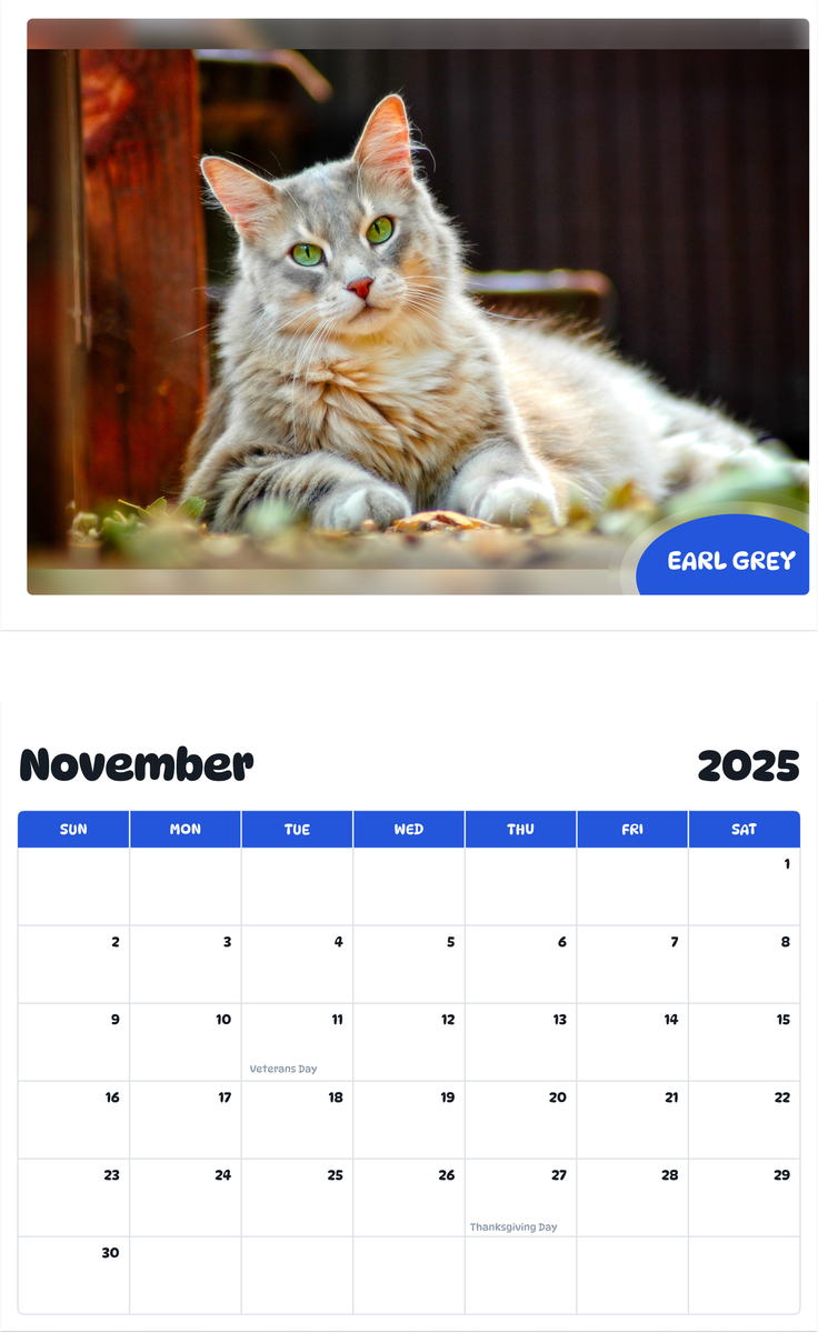 July 2025 - June 2026 Earl Grey - Pawidols Pet Calendar