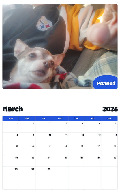 November 2025 - October 2026 Peanut - Pawidols Pet Calendar