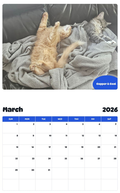 November 2025 - October 2026 Copper & Coal - Pawidols Pet Calendar