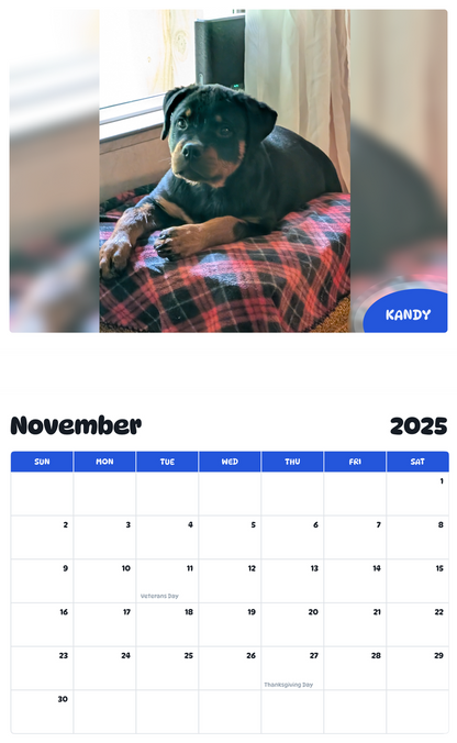 July 2025 - June 2026 Kandy - Pawidols Pet Calendar
