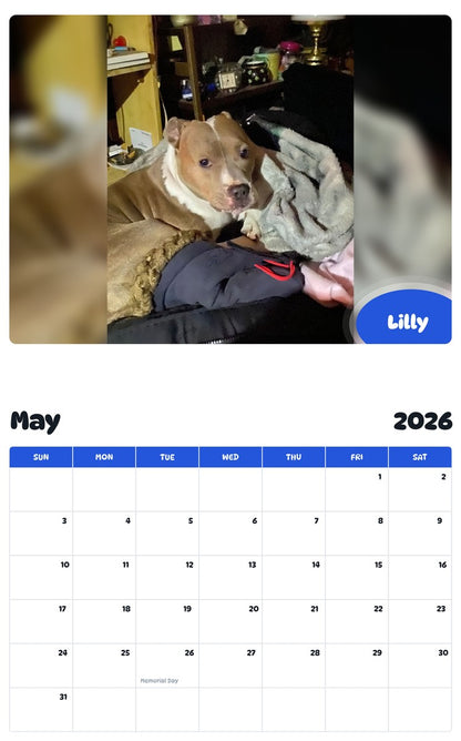 2026 - 2027 Lilly - Pawidols Pet Calendar