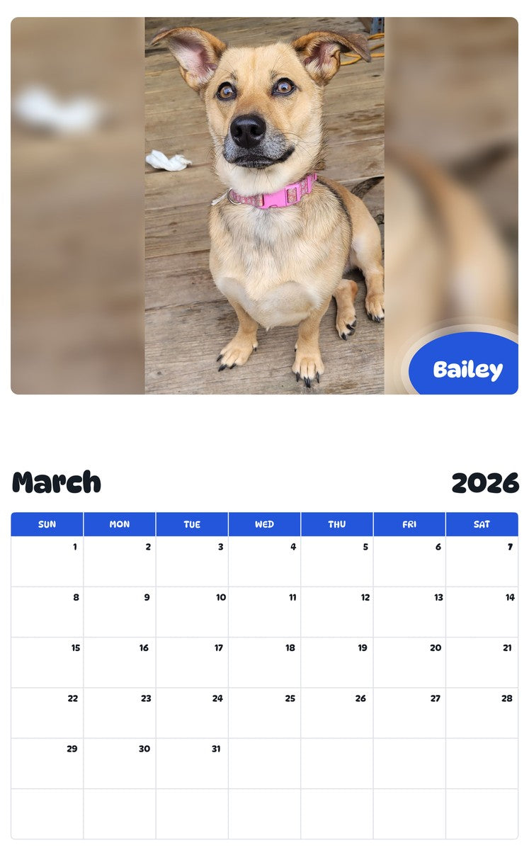 November 2025 - October 2026 Bailey - Pawidols Pet Calendar
