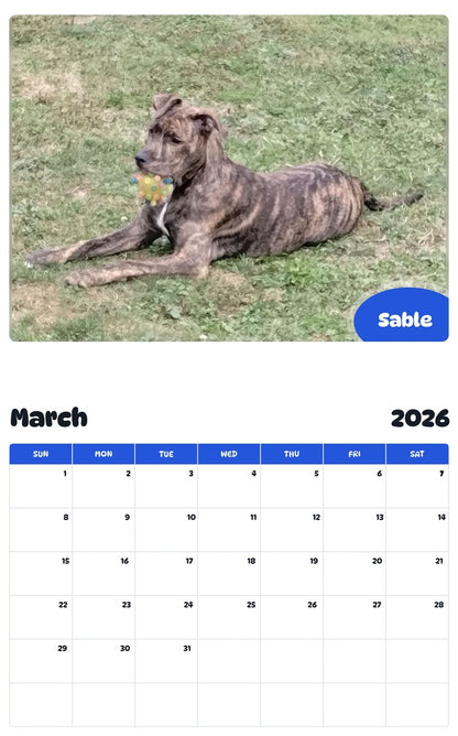 November 2025 - October 2026 Sable - Pawidols Pet Calendar