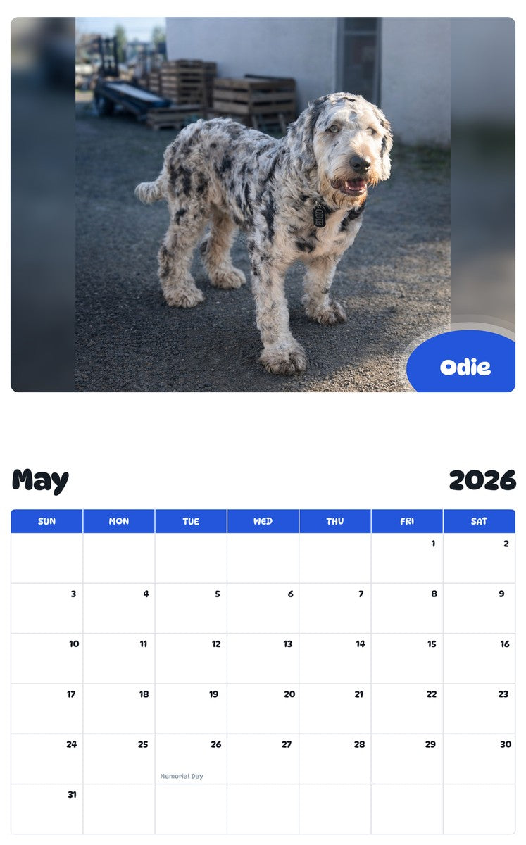2026 - 2027 Odie - Pawidols Pet Calendar