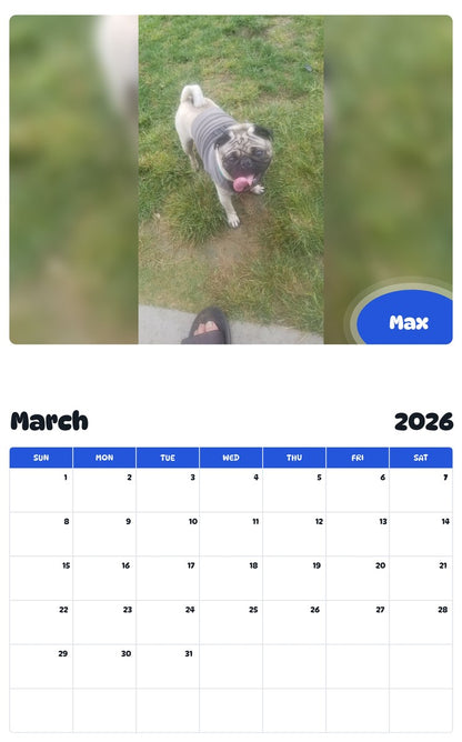 November 2025 - October 2026 Max - Pawidols Pet Calendar