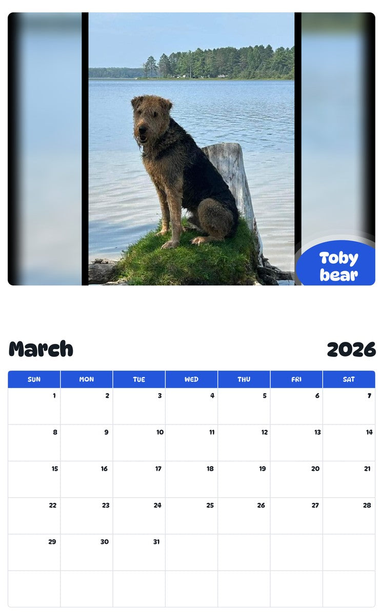 November 2025 - October 2026 Toby bear - Pawidols Pet Calendar