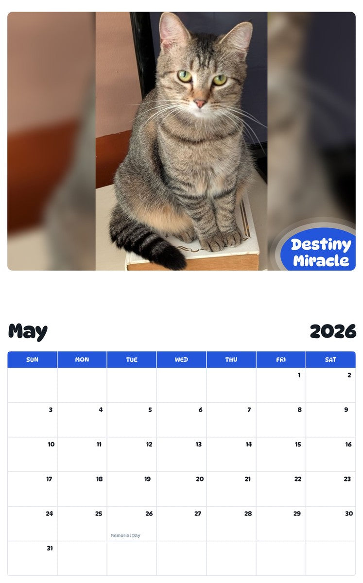 2026 - 2027 Destiny Miracle - Pawidols Pet Calendar