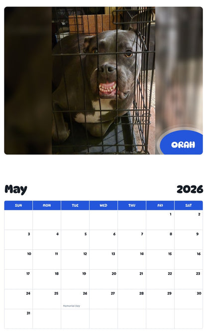 2026 - 2027 ORAH - Pawidols Pet Calendar