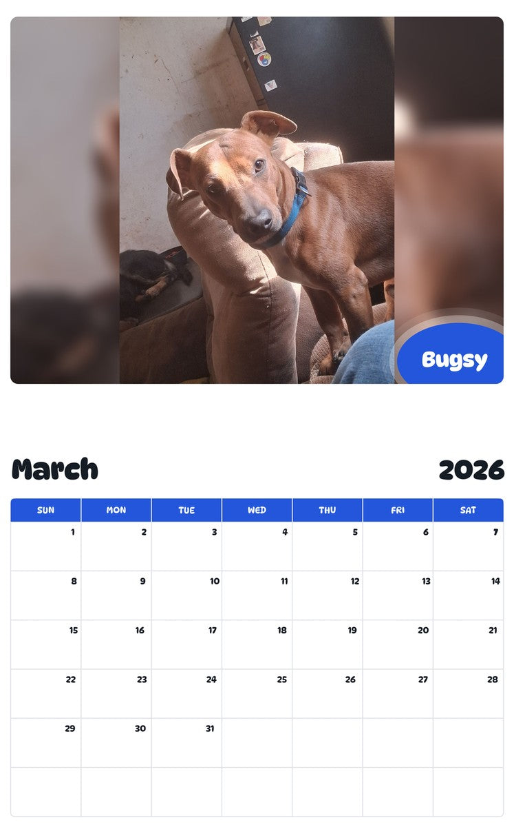 November 2025 - October 2026 Bugsy - Pawidols Pet Calendar