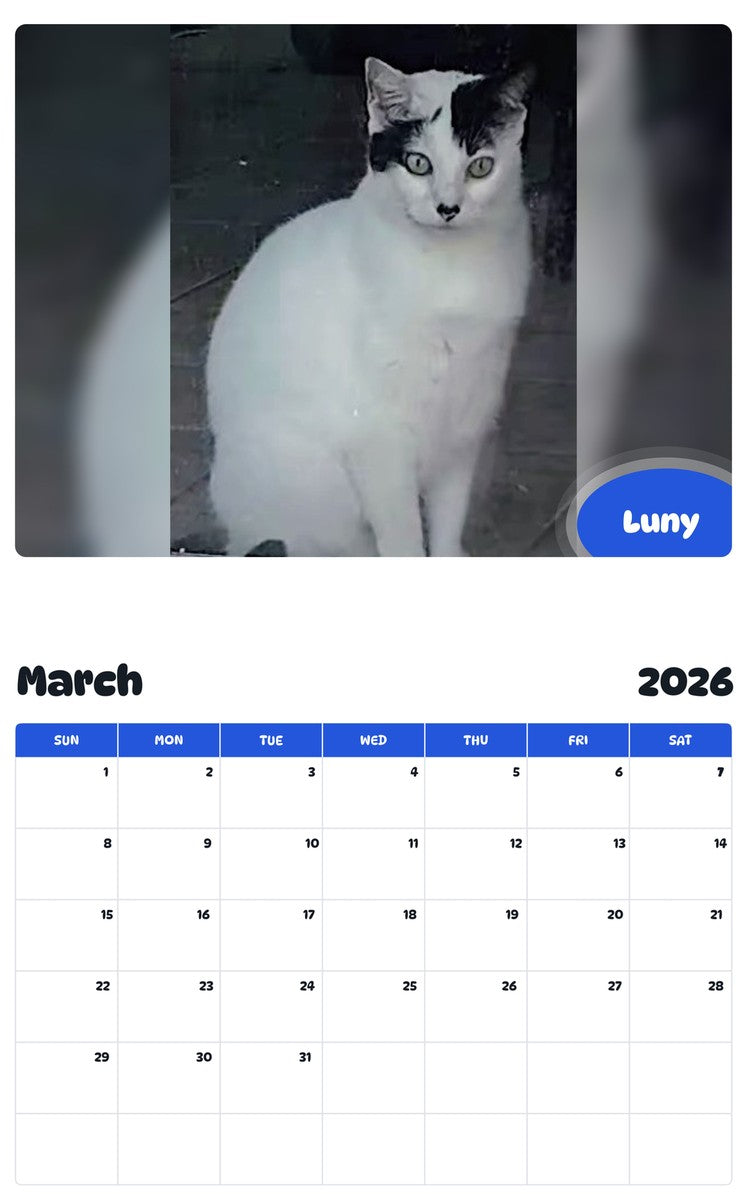 November 2025 - October 2026 Luny - Pawidols Pet Calendar