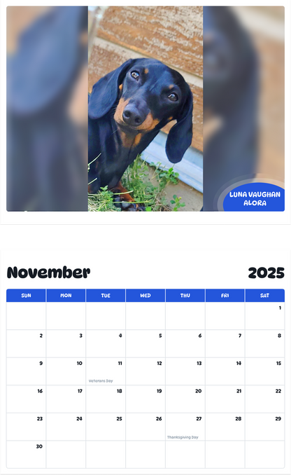 July 2025 - June 2026 Luna Vaughan Alora - Pawidols Pet Calendar