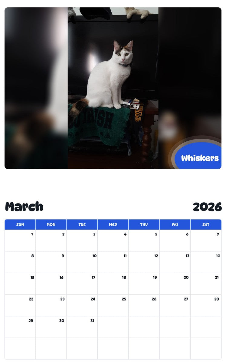 November 2025 - October 2026 Whiskers - Pawidols Pet Calendar