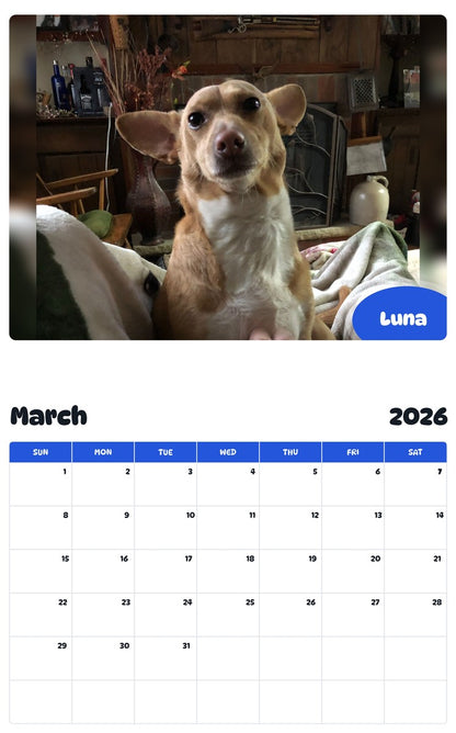 November 2025 - October 2026 Luna - Pawidols Pet Calendar