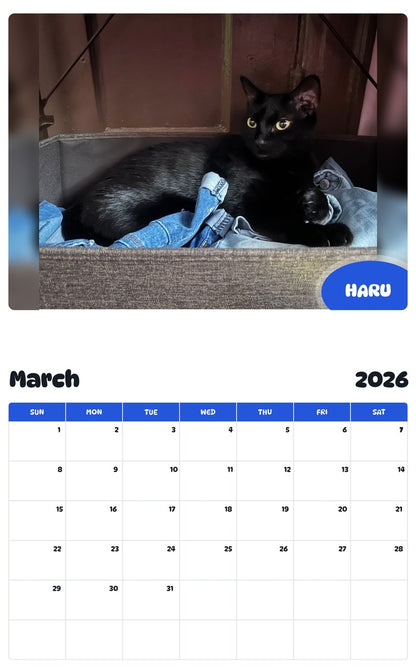 November 2025 - October 2026 HARU - Pawidols Pet Calendar