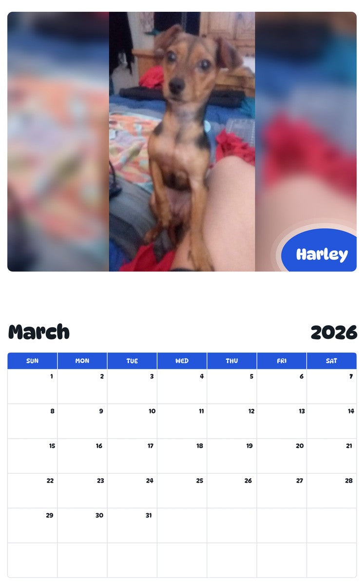 November 2025 - October 2026 Harley - Pawidols Pet Calendar