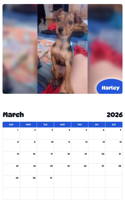 November 2025 - October 2026 Harley - Pawidols Pet Calendar