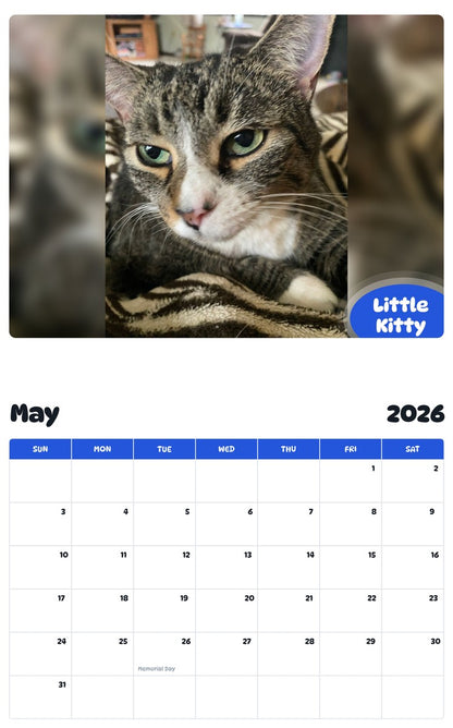 2026 - 2027 Little Kitty - Pawidols Pet Calendar