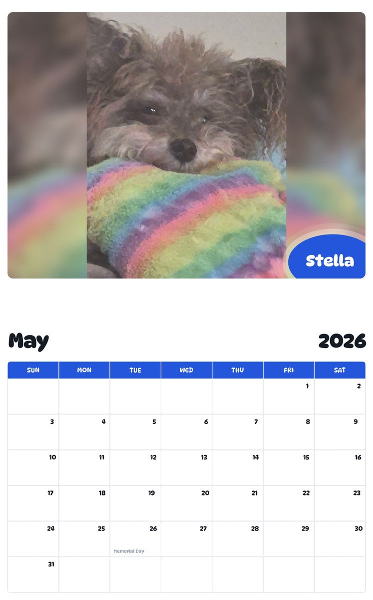 2026 - 2027 Stella - Pawidols Pet Calendar