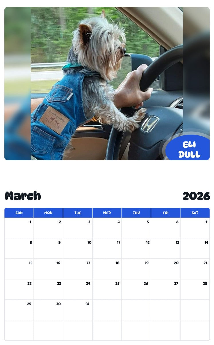 November 2025 - October 2026 ELI DULL - Pawidols Pet Calendar