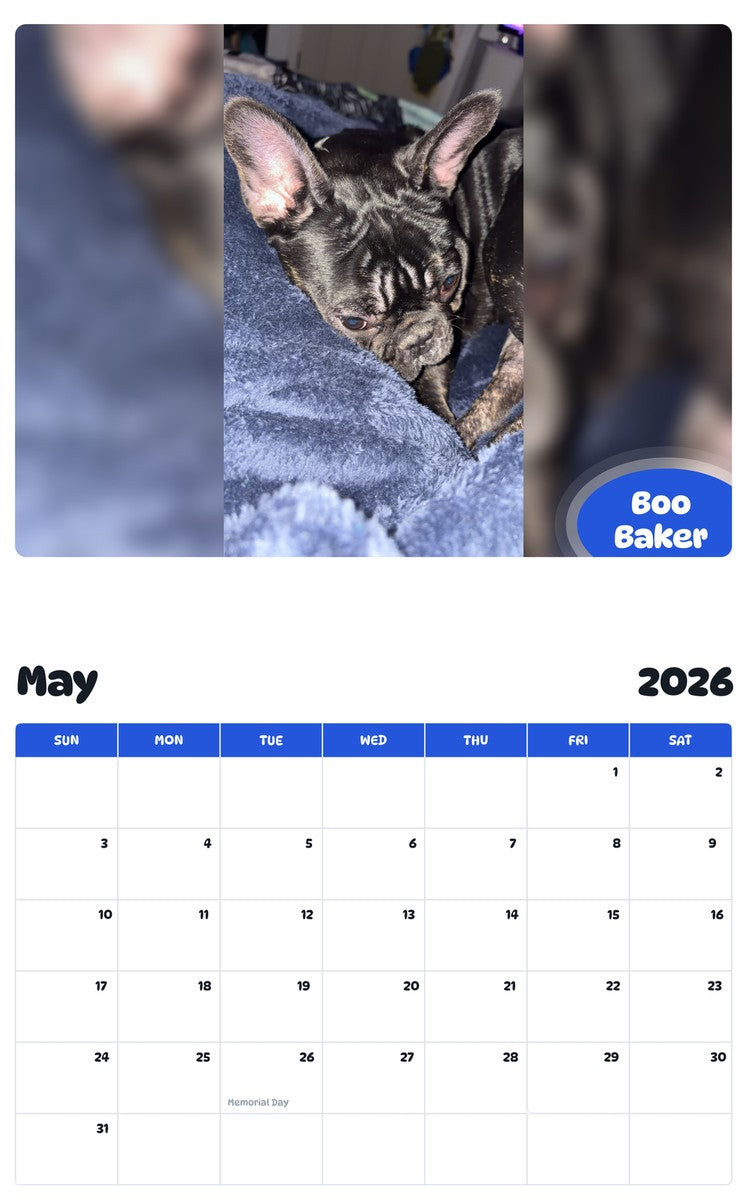 2026 - 2027 Boo Baker - Pawidols Pet Calendar