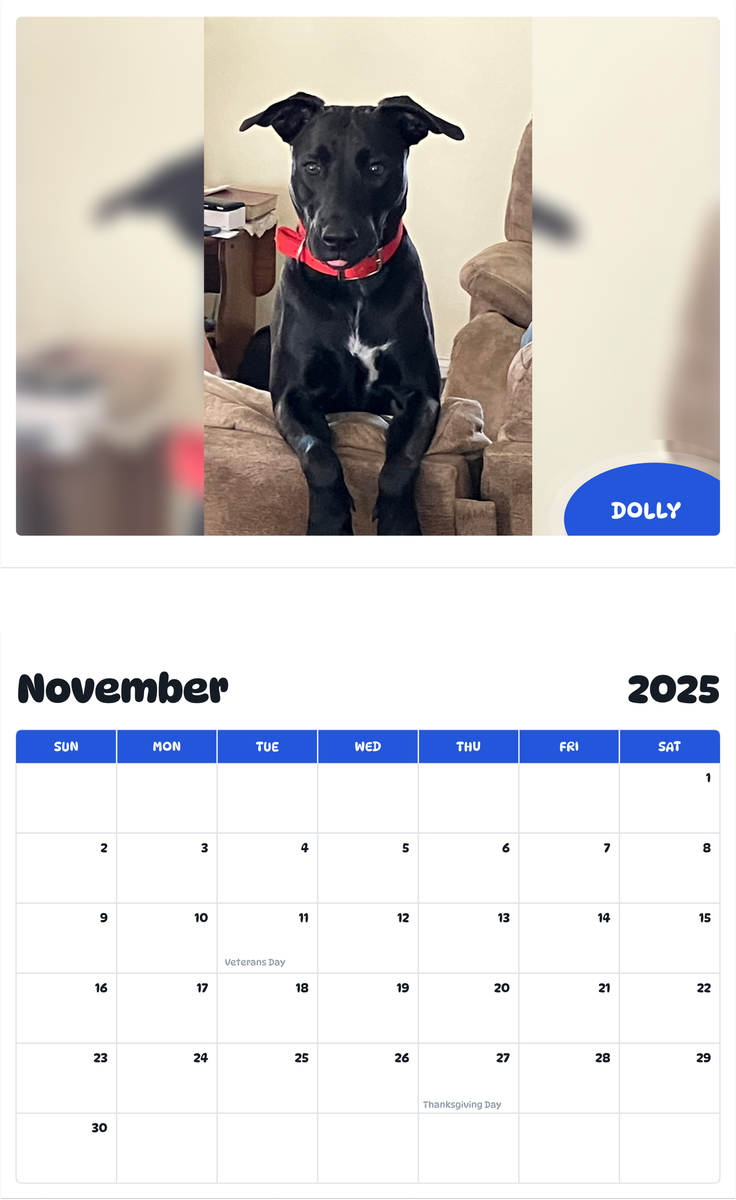 July 2025 - June 2026 Dolly - Pawidols Pet Calendar