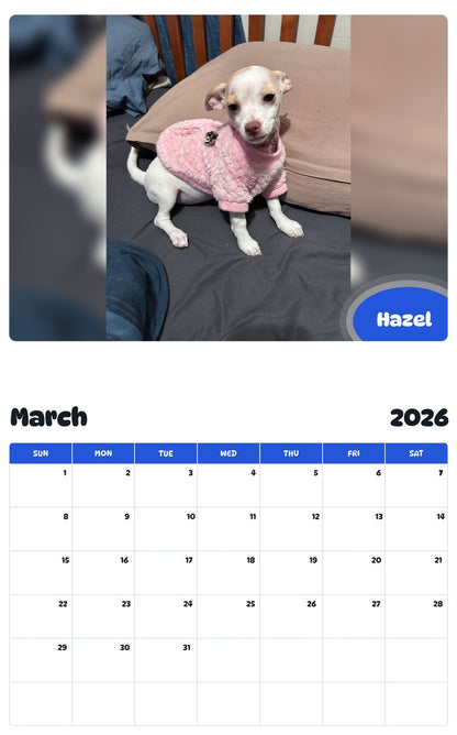 November 2025 - October 2026 Hazel - Pawidols Pet Calendar