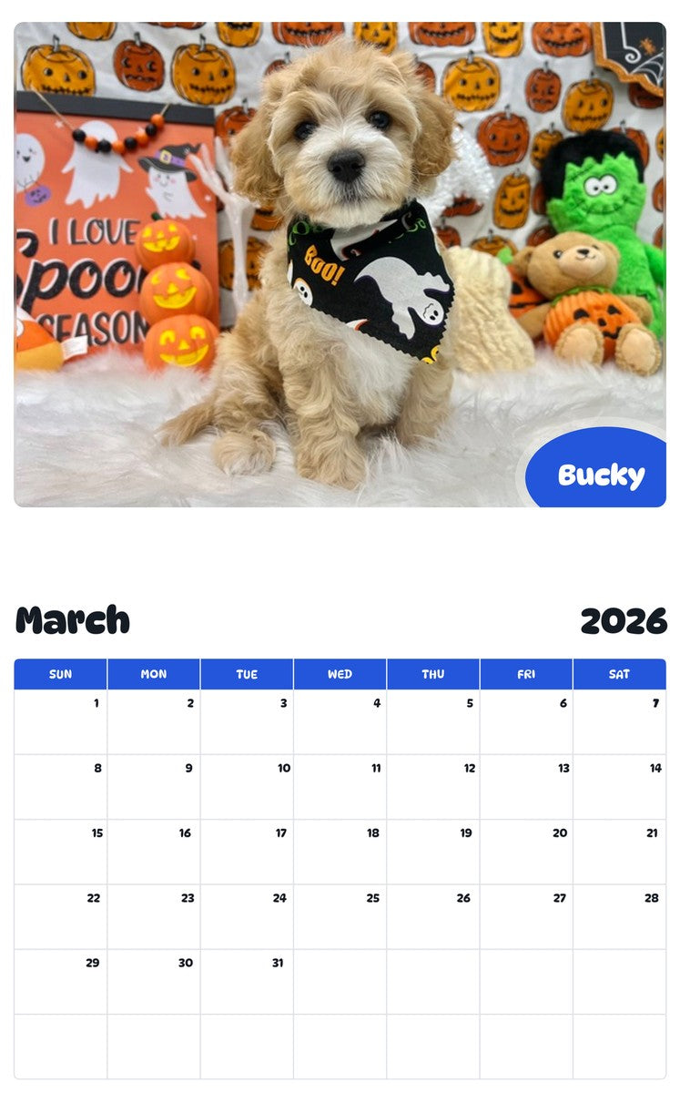 November 2025 - October 2026 Bucky - Pawidols Pet Calendar