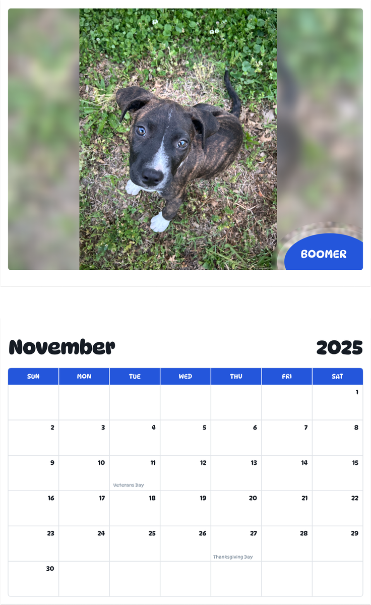 July 2025 - June 2026 Boomer - Pawidols Pet Calendar