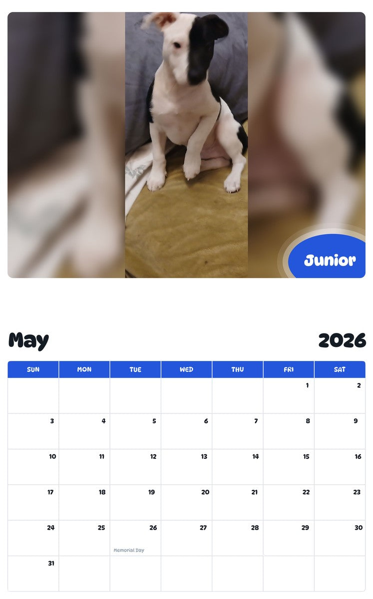 2026 - 2027 Junior - Pawidols Pet Calendar