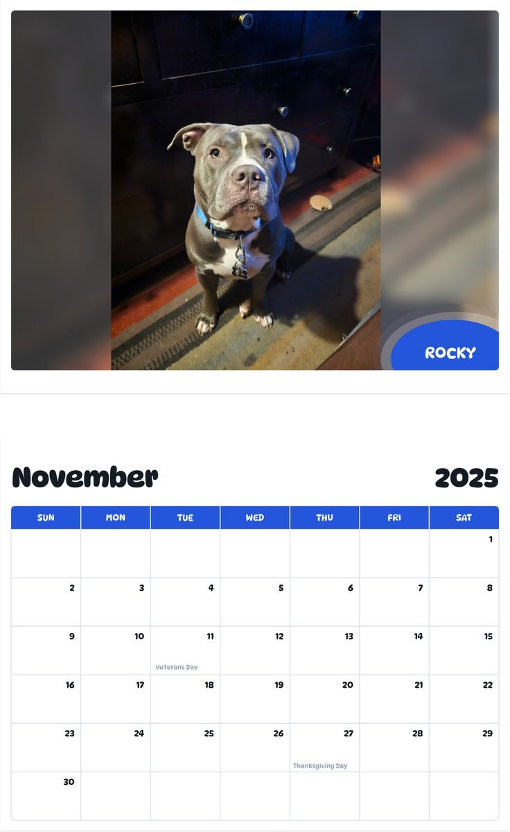 July 2025 - June 2026 Rocky - Pawidols Pet Calendar